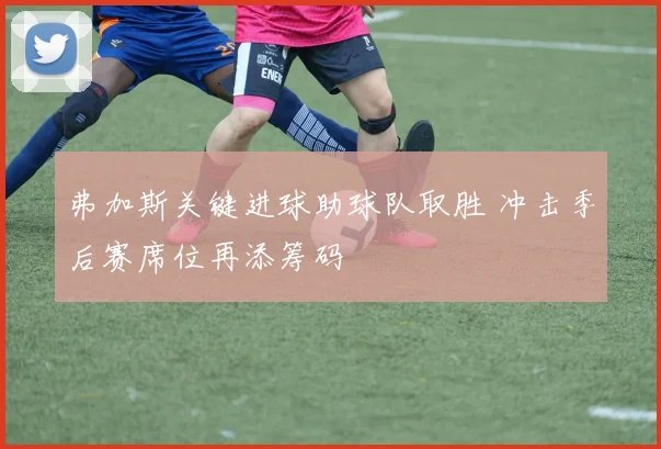 弗加斯关键进球助球队取胜 冲击季后赛席位再添筹码